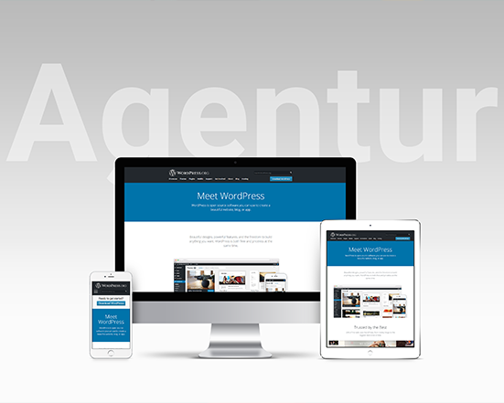 Gute WordPress Agentur: Braucht die jemand? Definitiv!