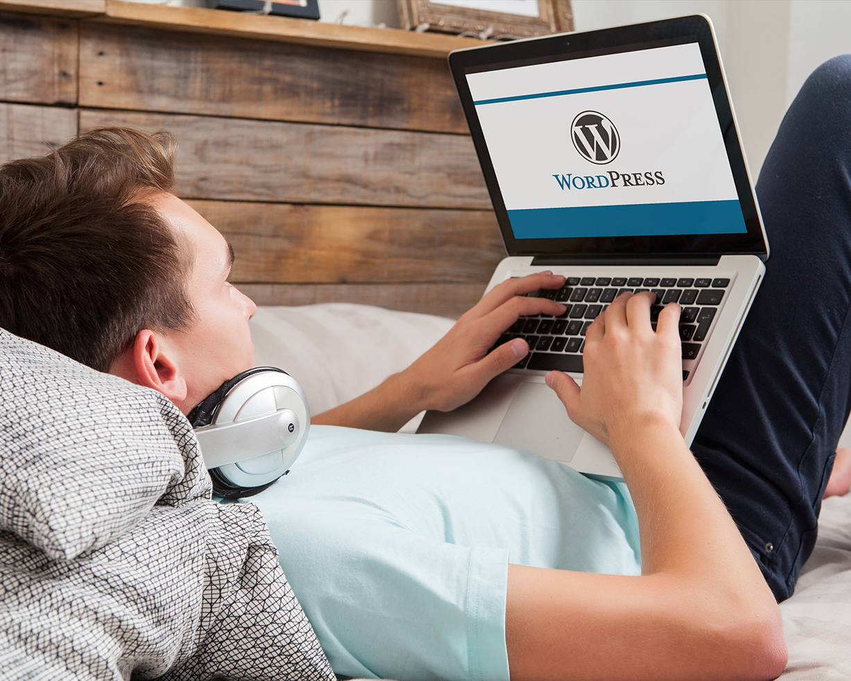 WordPress: ein CMS für alle (vom Einsteiger bis zum Profi)!